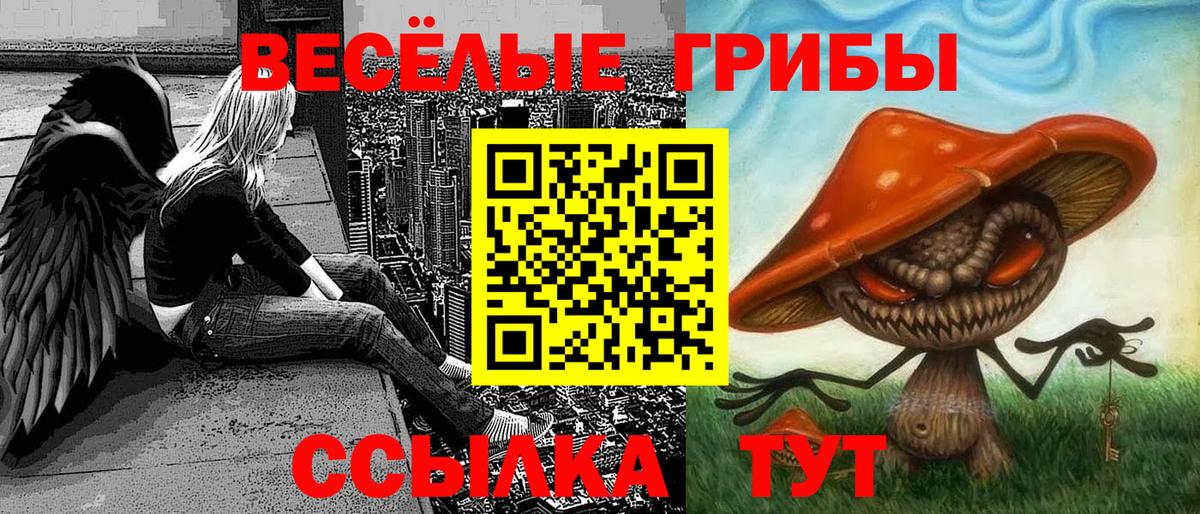 Галлюциногенные грибы Psilocybe Прокопьевск
