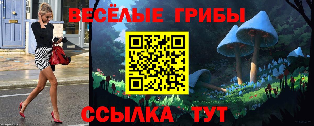 Псилоцибиновые грибы MAGIC MUSHROOMS  Псилоцибиновые грибы Psilocybine cubensis  Прокопьевск  закладка  Вход с VPN 